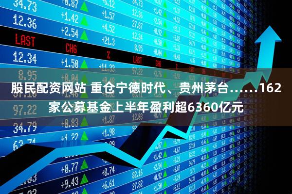股民配资网站 重仓宁德时代、贵州茅台……162家公募基金上半年盈利超6360亿元